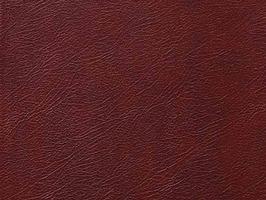 Importer leather 88 leathercollection 系列 真皮 牛皮 沙發皮革 602 馬鞍皮 深褐色雲彩